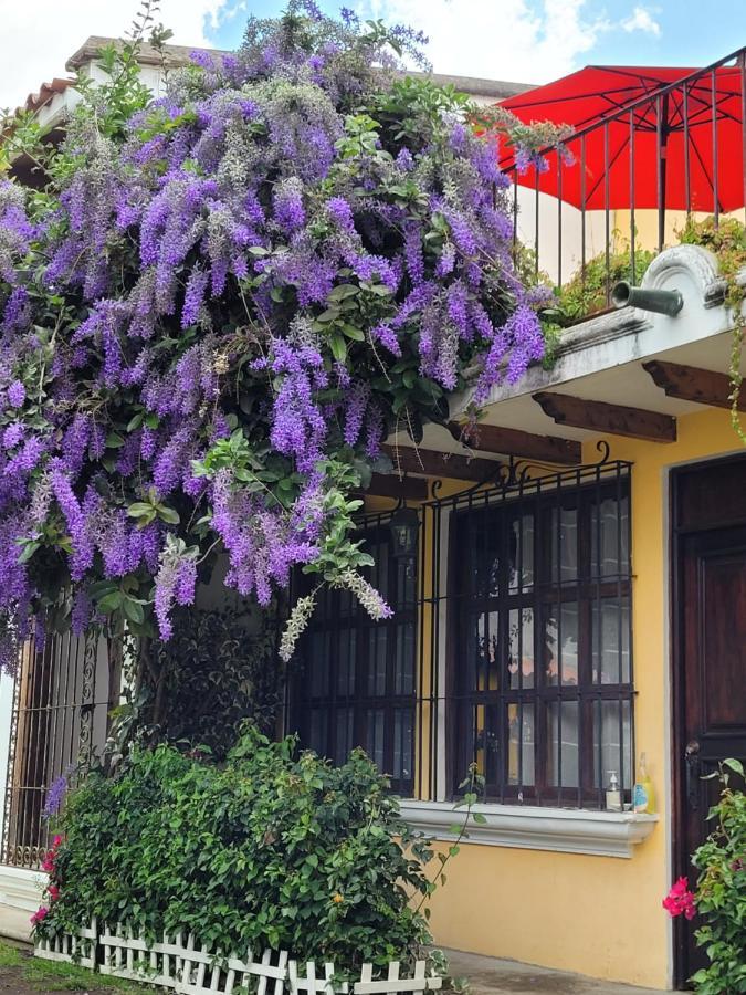 Villas Santa Ana-Ricardo Antigua Buitenkant foto